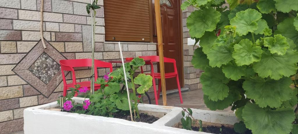 Apartment Rina - Imazhi 8