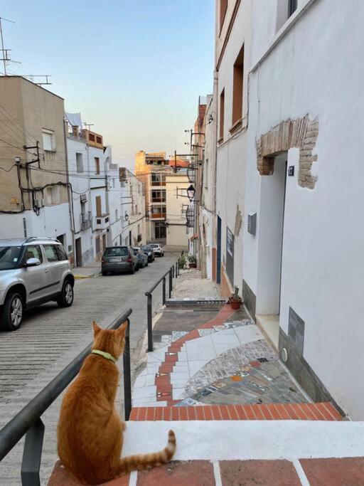 Domácí mazlíčci ubytovaní s hosty v ubytování Townhouse - Casa rústica entre mar y montaña
