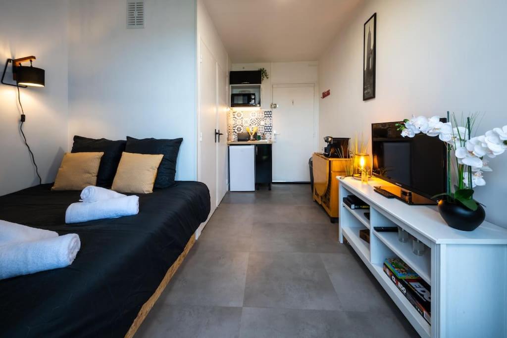 ein Wohnzimmer mit einem Sofa und einem TV in der Unterkunft Le pragmatique in Évreux