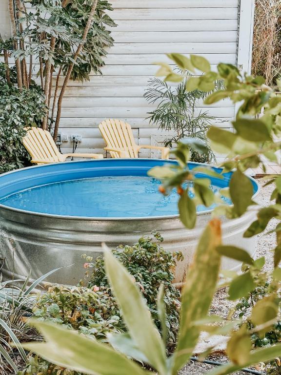 Fotografie z fotogalerie ubytování Eili Suites v destinaci Ramot