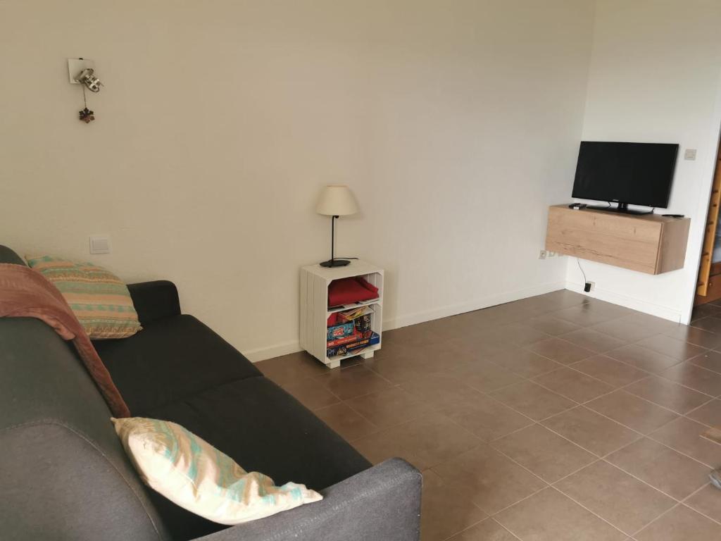 sala de estar con sofá y TV de pantalla plana en Studio avec vue panoramique sur la montagne, en Font-Romeu-Odeillo-Via