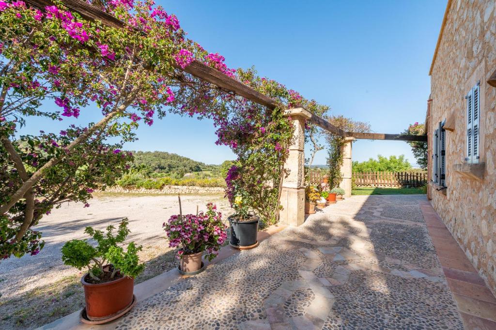 Zahrada ubytování Casa Julia by Mallorca House Rent