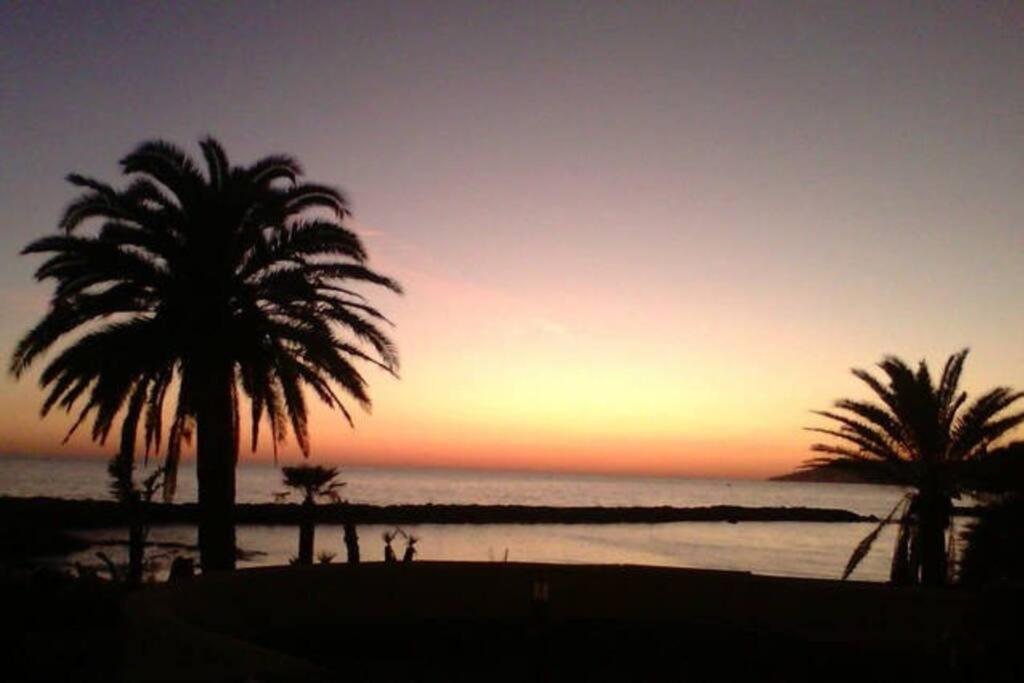 two palm trees on a beach at sunset at Casa al mare Santo Stefano al Mare in Santo Stefano al Mare