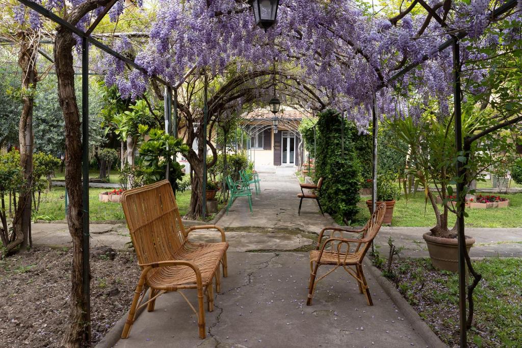dos sillas sentadas bajo un arbol con glicinas púrpuras en Antica Dimora Sant'Anna, en Florencia