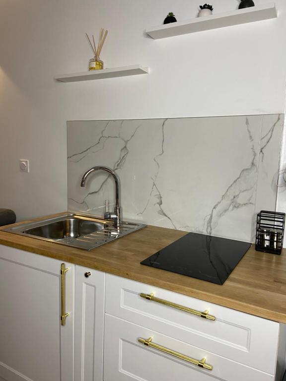 a kitchen with a sink and a counter top at Appartement Rouen Le Voltaire Home in Rouen