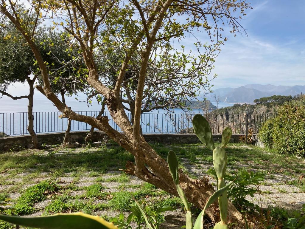 Villa Maria Francesca, San Nicola Arcella (updated prices 2024)