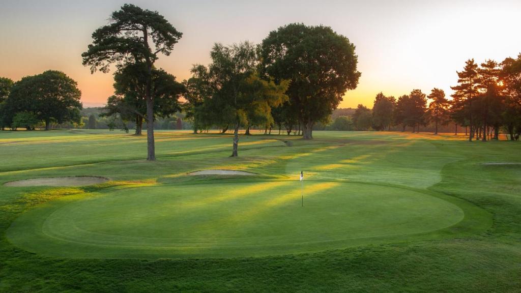 Golf pri vile alebo okolí