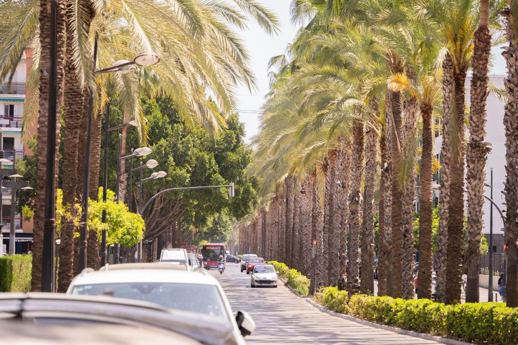 APtuValencia, Valencia – Updated 2023 Prices