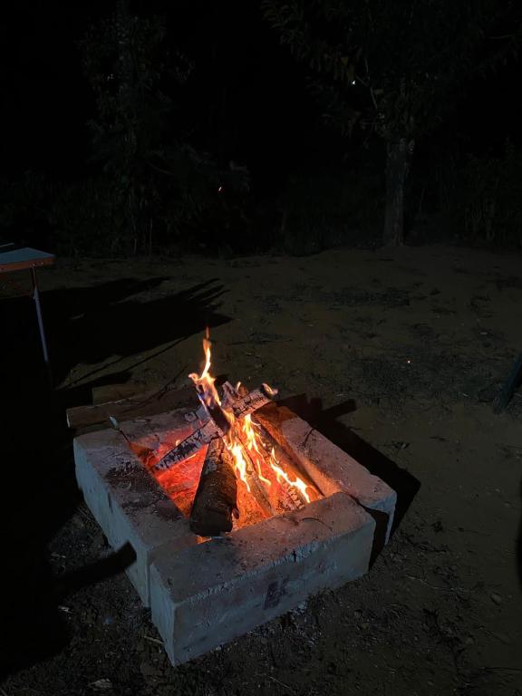 Fotografie z fotogalerie ubytování FernHills Homestay v destinaci Madikeri