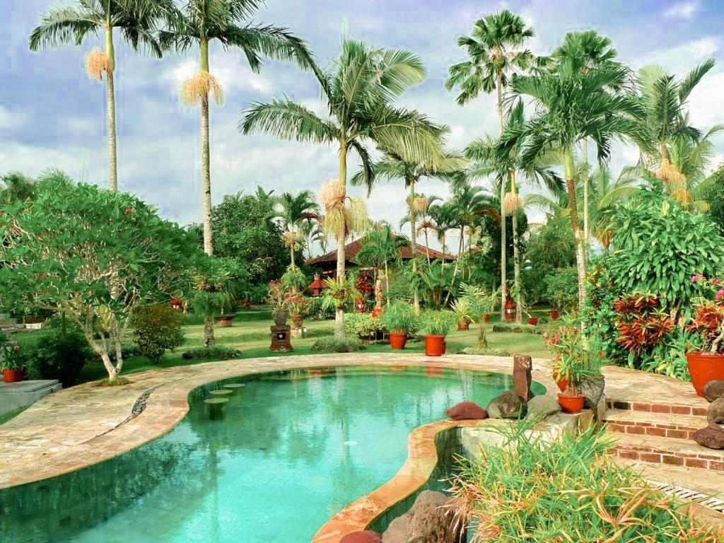 a swimming pool in a resort with palm trees at Cabé Bali in Jasri