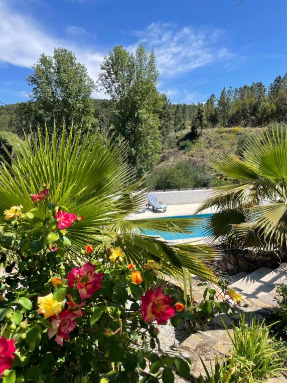 a garden with flowers and a swimming pool at Casa Pollard in Marvão