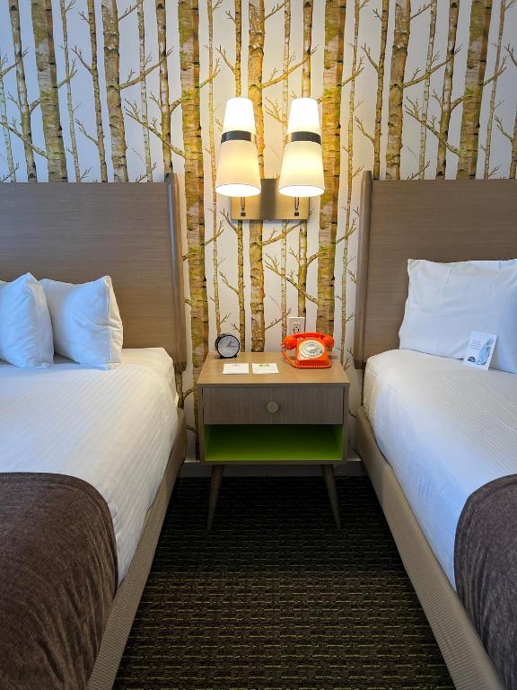Bar Harbor Motel - Camera Doppia - Accesso Disabili