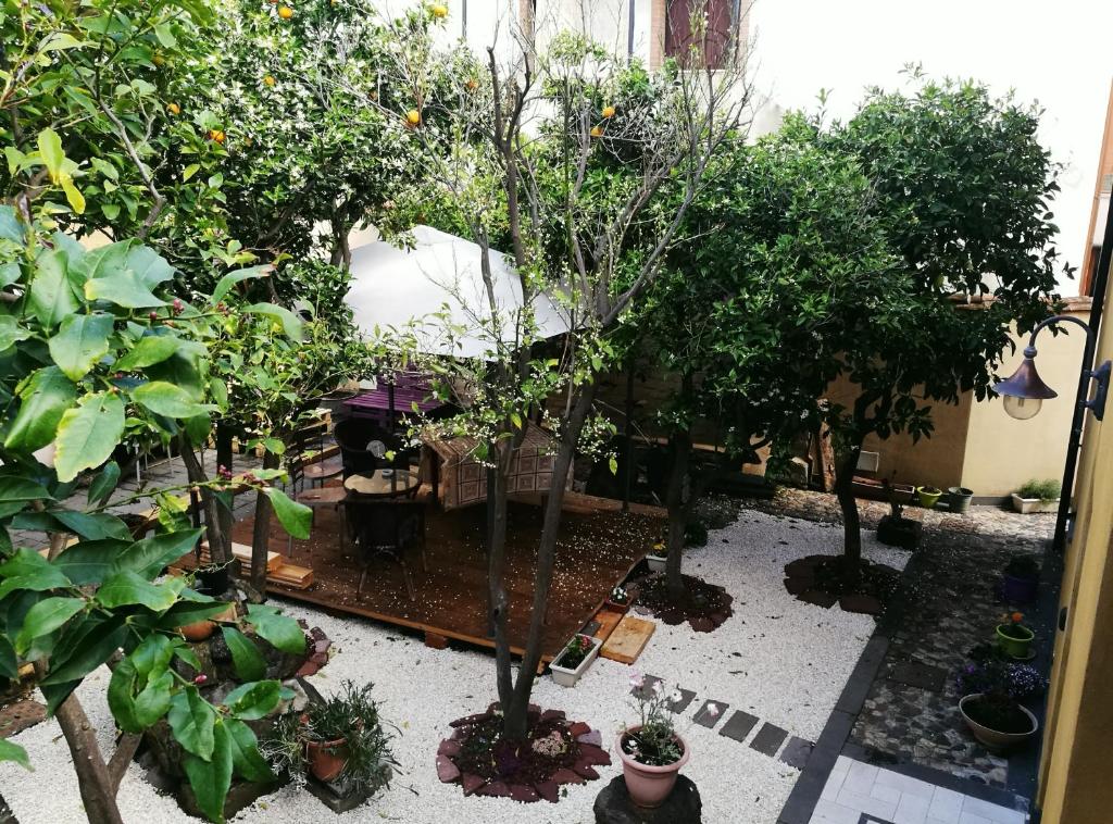 a garden with trees and plants in a room at La Corte di Lucina in Terralba