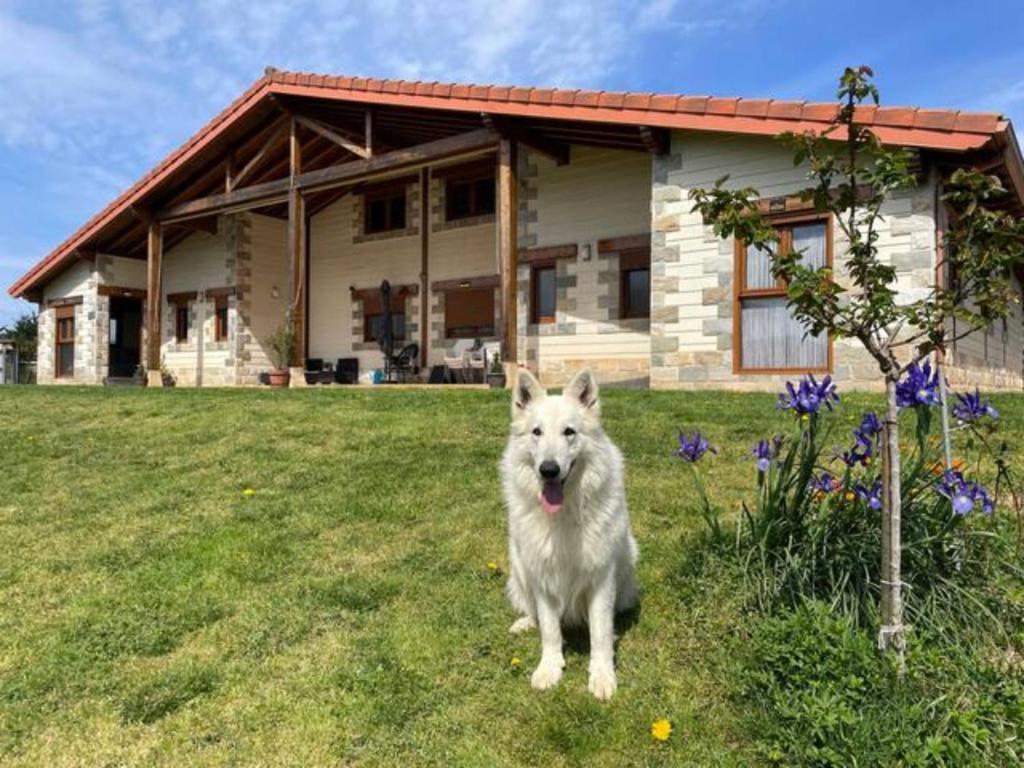 Domácí mazlíčci ubytovaní s hosty v ubytování Ven y disfruta en el corazón de Bizkaia-Urdaibai LBI00509