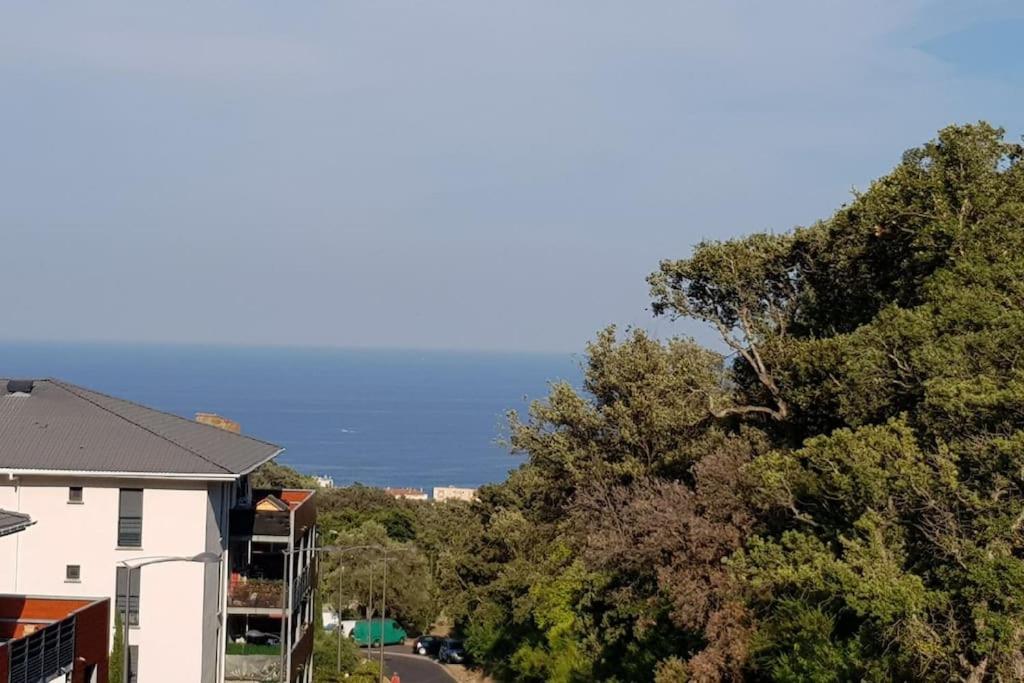 - une vue aérienne sur une maison arborée et une rue dans l'établissement Superbe T1 à bastia vue sur mer, à Bastia