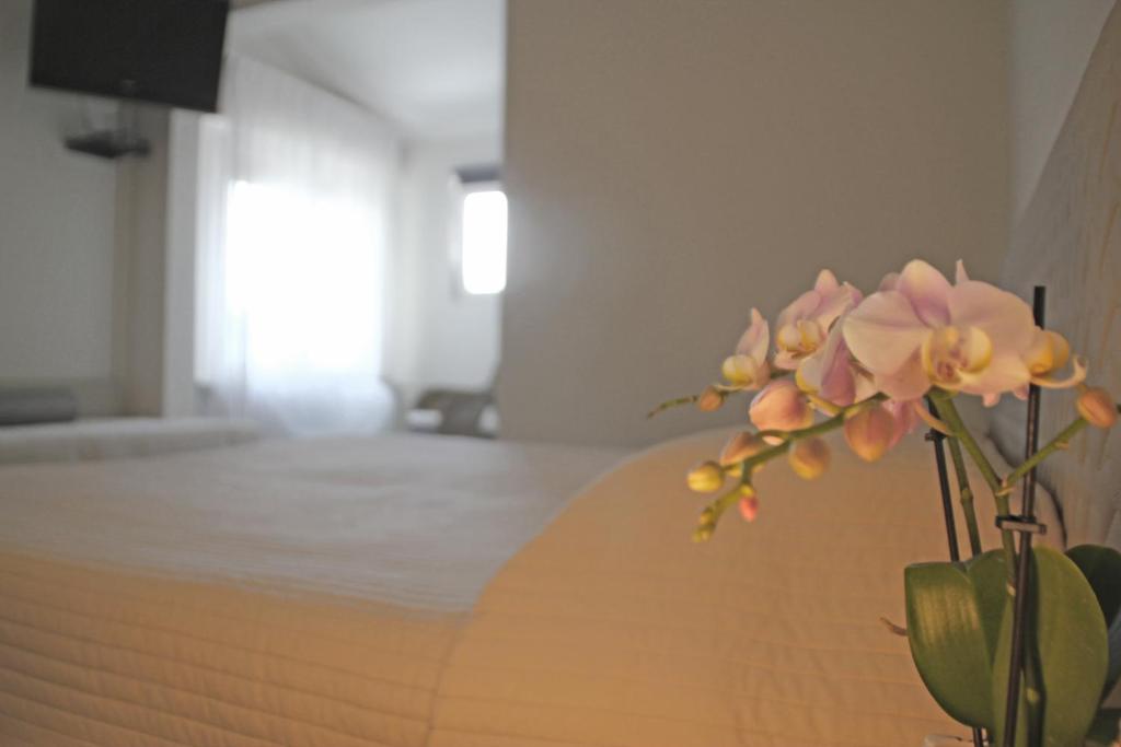 Hotel Sole - Error