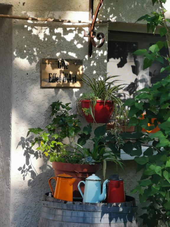 Zahrada ubytování Gîte effet d’art