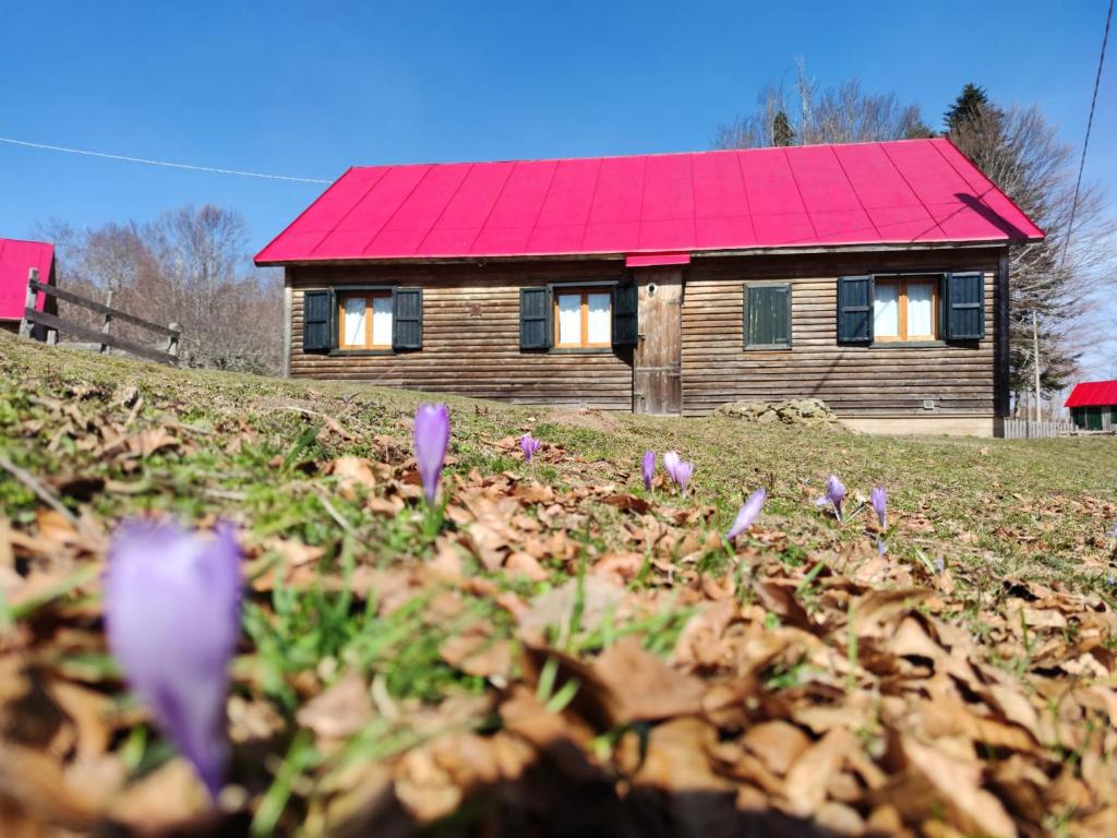 uma casa com um telhado vermelho num campo com flores roxas em Orme nel parco - Villaggio Grechi em Tirivolo