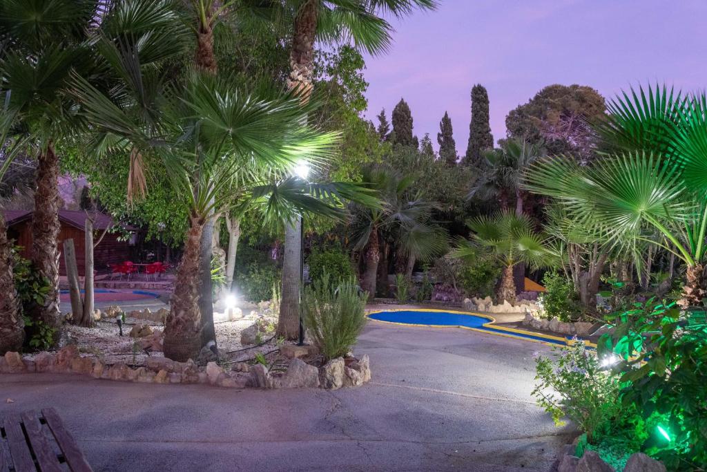 APARTAMENTOS PALASIET - Resim 24