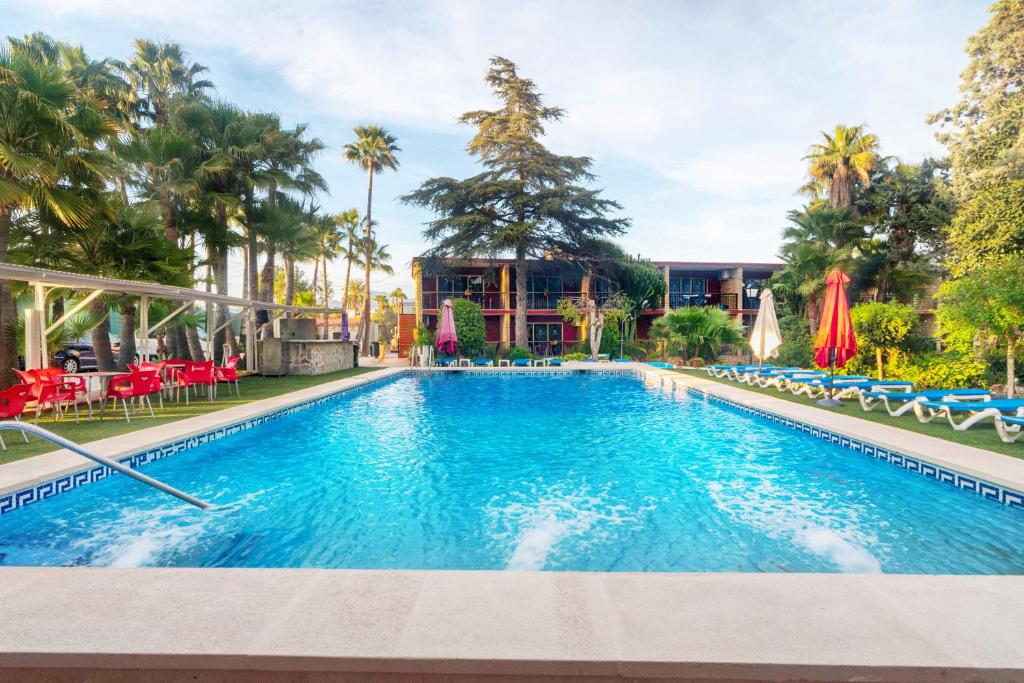 einen Pool in einem Hotel mit Stühlen und Sonnenschirmen in der Unterkunft APARTAMENTOS PALASIET in Benidorm