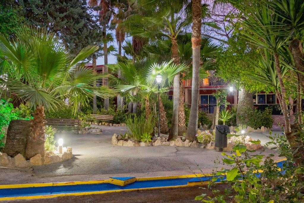 APARTAMENTOS PALASIET - Resim 40