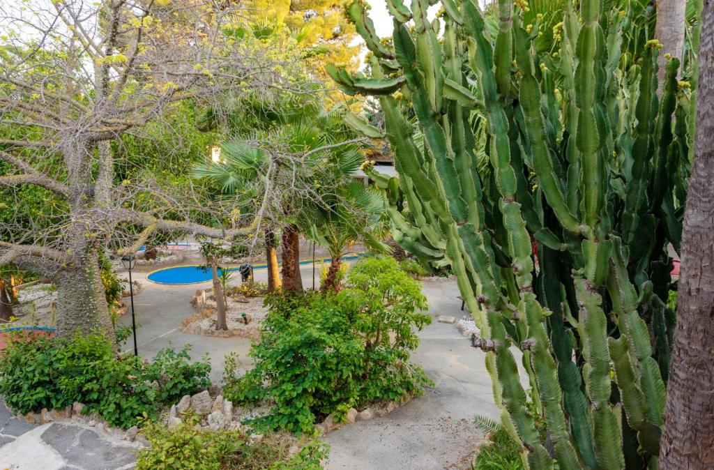 APARTAMENTOS PALASIET - Resim 43