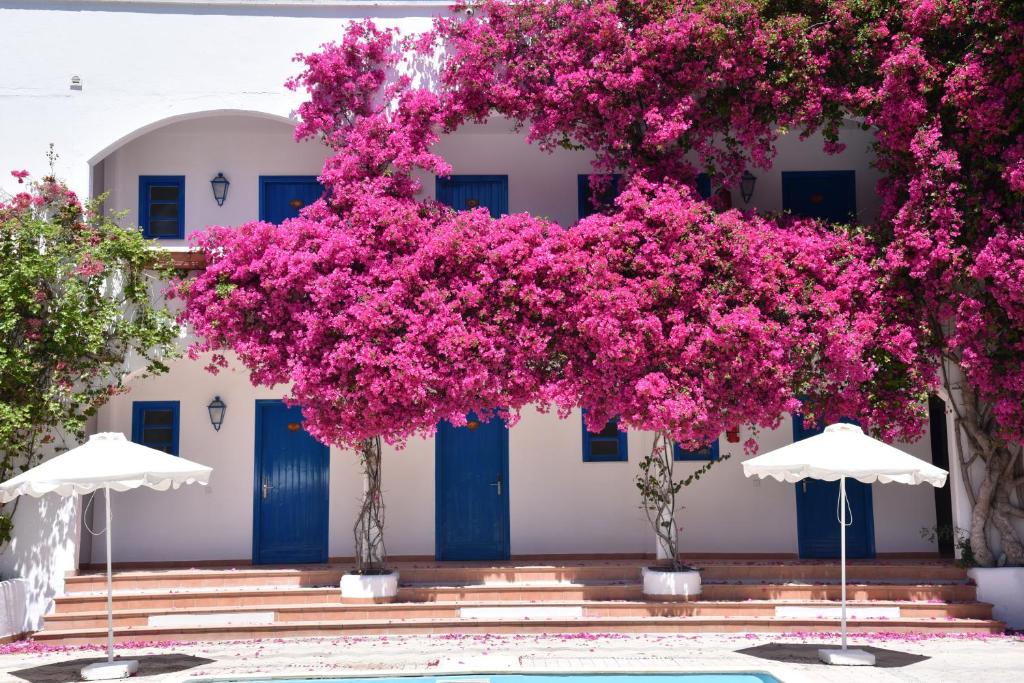 Zahrada ubytování Boutique Hotel Tilos Mare