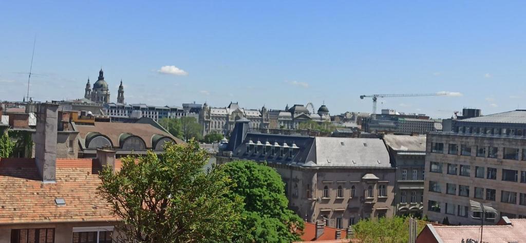 - une vue sur les toits de la ville et les bâtiments dans l'établissement Cozy Panorama at the Castle, à Budapest