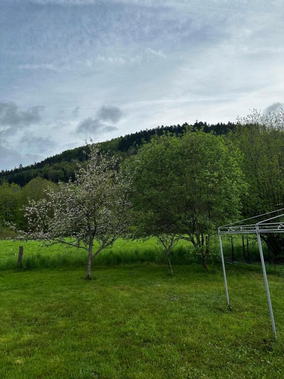 Příroda nedaleko apartmánu