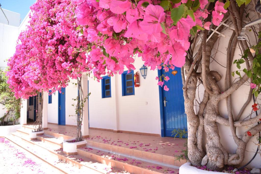 Fotografie z fotogalerie ubytování Boutique Hotel Tilos Mare v destinaci Livadia