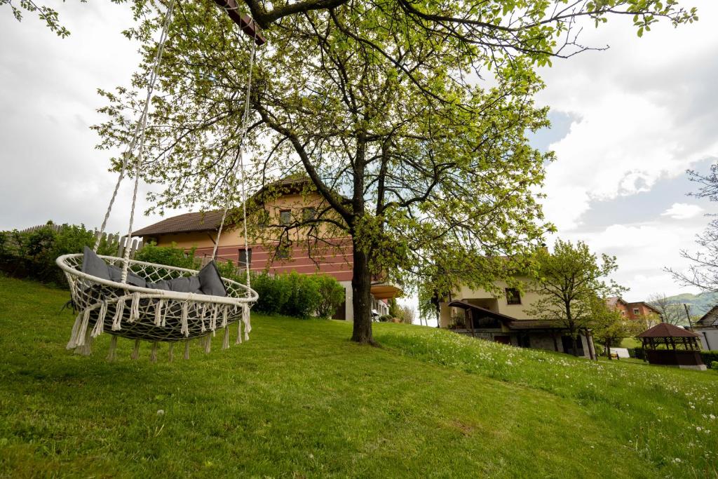 Příroda nedaleko apartmánu