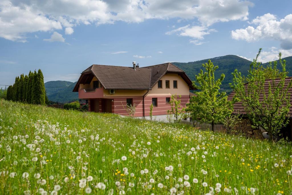 Příroda nedaleko apartmánu