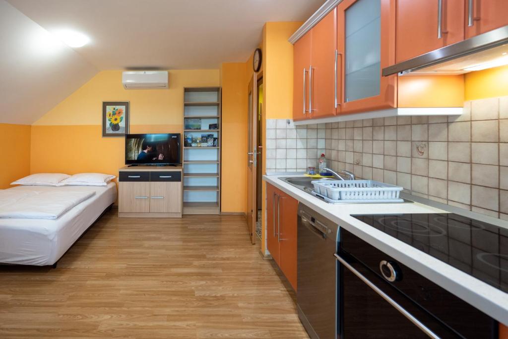 Kuchyň nebo kuchyňský kout v ubytování Apartment Anja