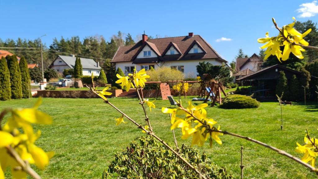 a yard with yellow flowers in front of a house at Borónia in Borowo