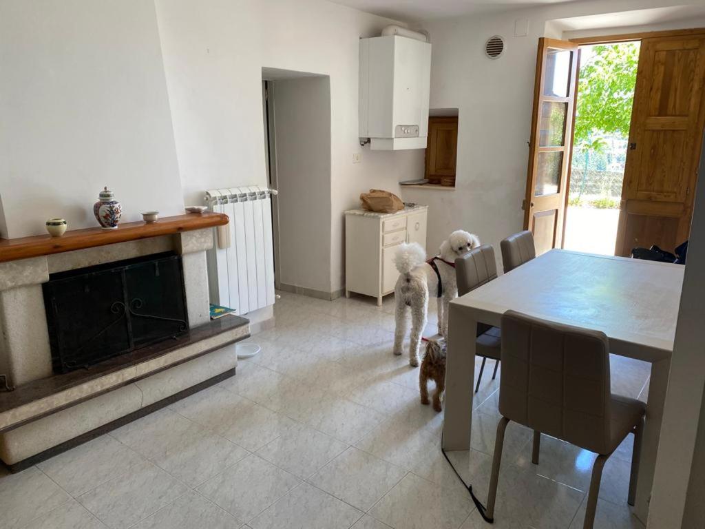 two dogs are standing in a kitchen with a table at Belvedere in Tagliacozzo