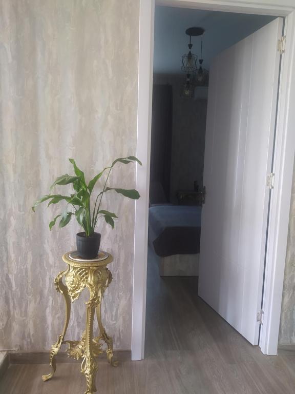 Fotografie z fotogalerie ubytování Guest House Mtisubani v destinaci Signagi