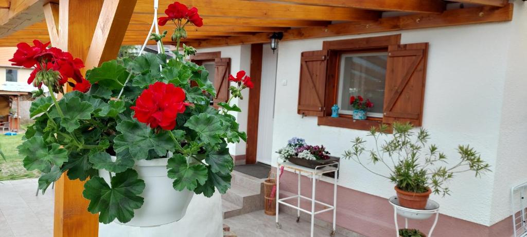 Zahrada ubytování Small House Apartment