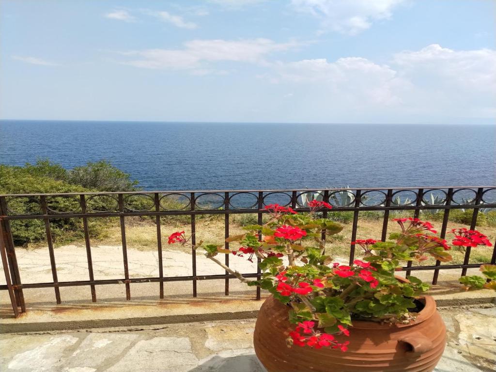 Táj az apartman közelében