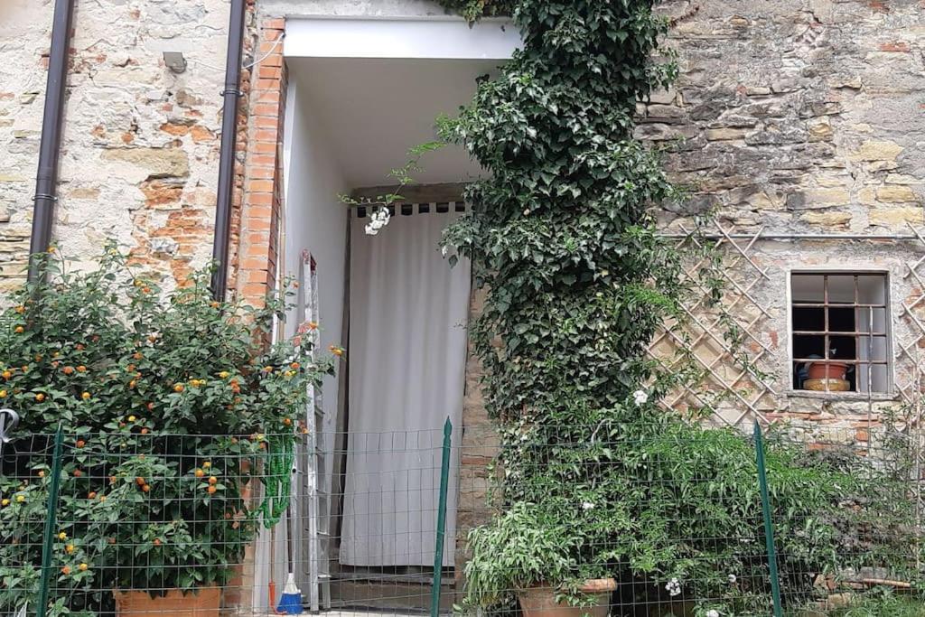 una puerta abierta de un edificio con hiedra en La casa di Nina, en Pulicciano