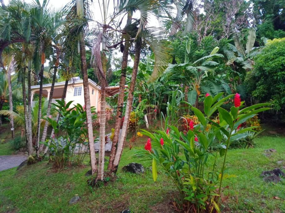 einen Garten mit Palmen und ein Haus in der Unterkunft Martinique La petite maison dans la Colline in Le Lamentin