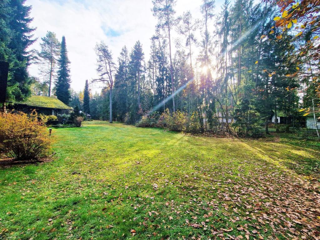 ein Feld, auf dem die Sonne durch die Bäume scheint in der Unterkunft Bungalow direkt am See, mit eigenem Boot in Roding