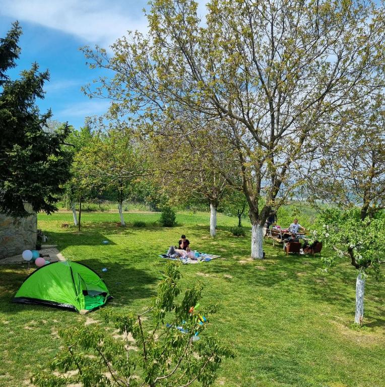 Zahrada ubytování Casa Horizont