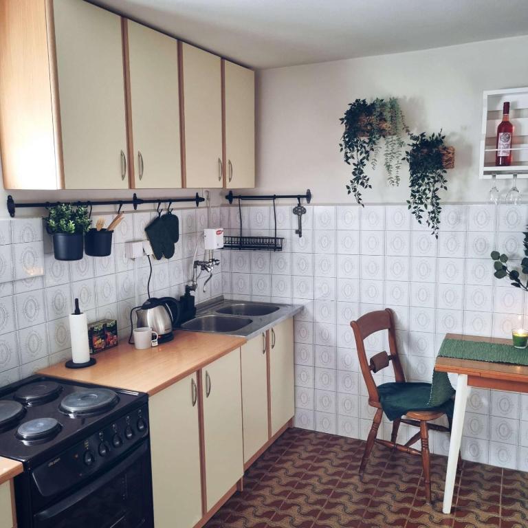 Kuchyň nebo kuchyňský kout v ubytování Casa Horizont