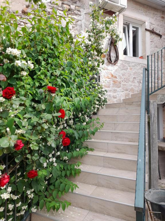 un escalier avec des roses rouges sur le côté du bâtiment dans l'établissement Apartmani Sanja, à Šibenik
