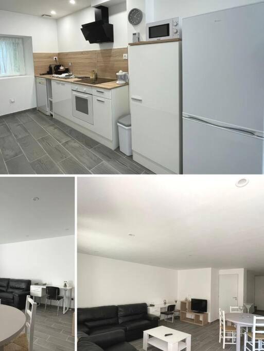 Il comprend une cuisine et un salon avec un réfrigérateur. dans l'établissement Maison, à Lasbordes