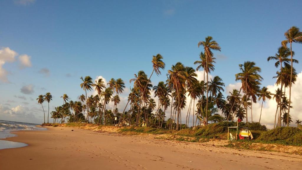  Paraíso dos Corais