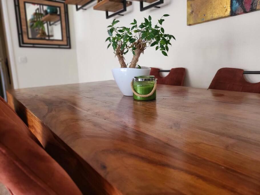 a wooden table with a potted plant on top of it at Une invitation à la détente in Nice