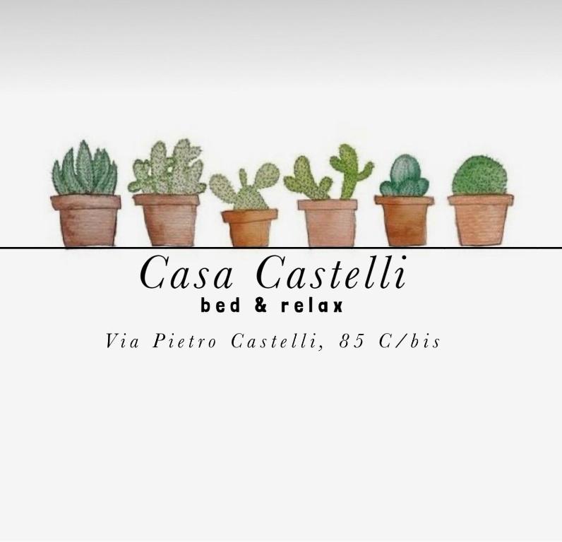 a row of cactus plants on a shelf at Casa Castelli in Messina
