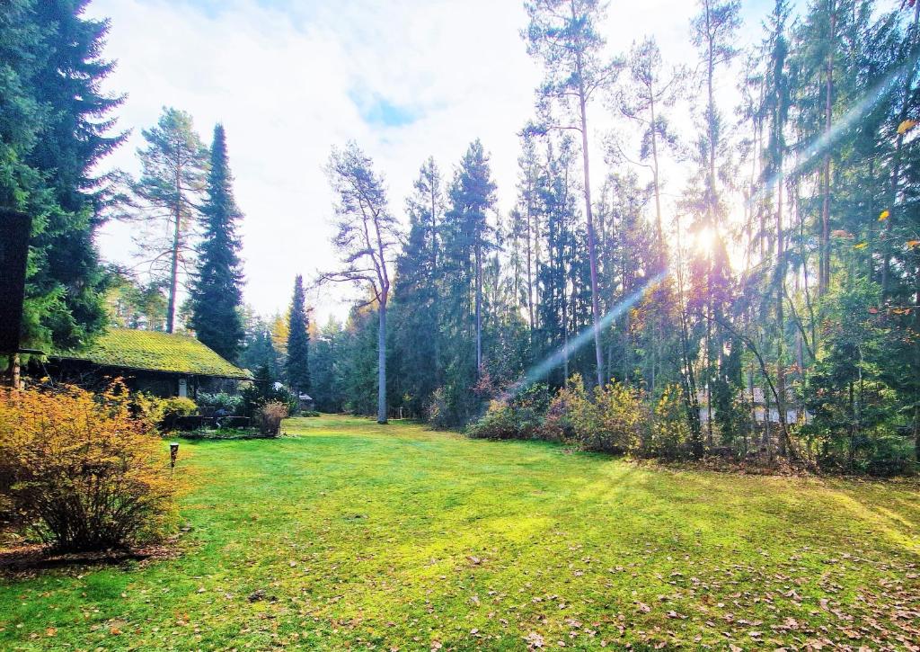 Zahrada ubytování Bungalow direkt am See, mit eigenem Boot
