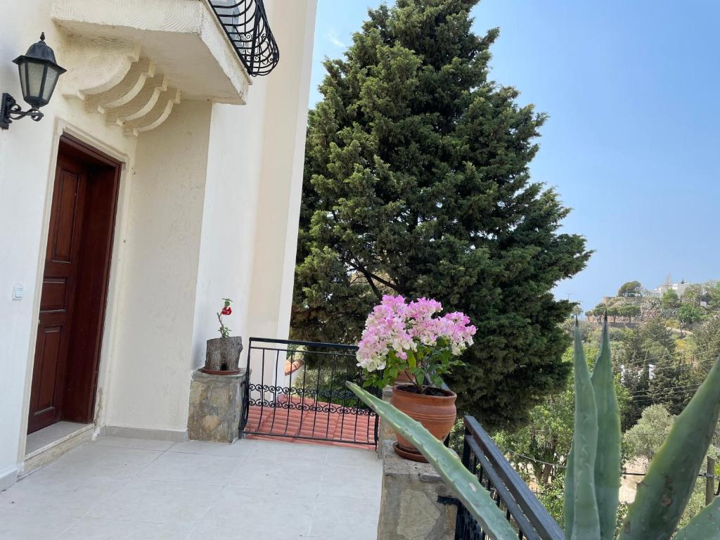 a porch of a house with a tree and flowers at Villa Tibet in Yalıkavak